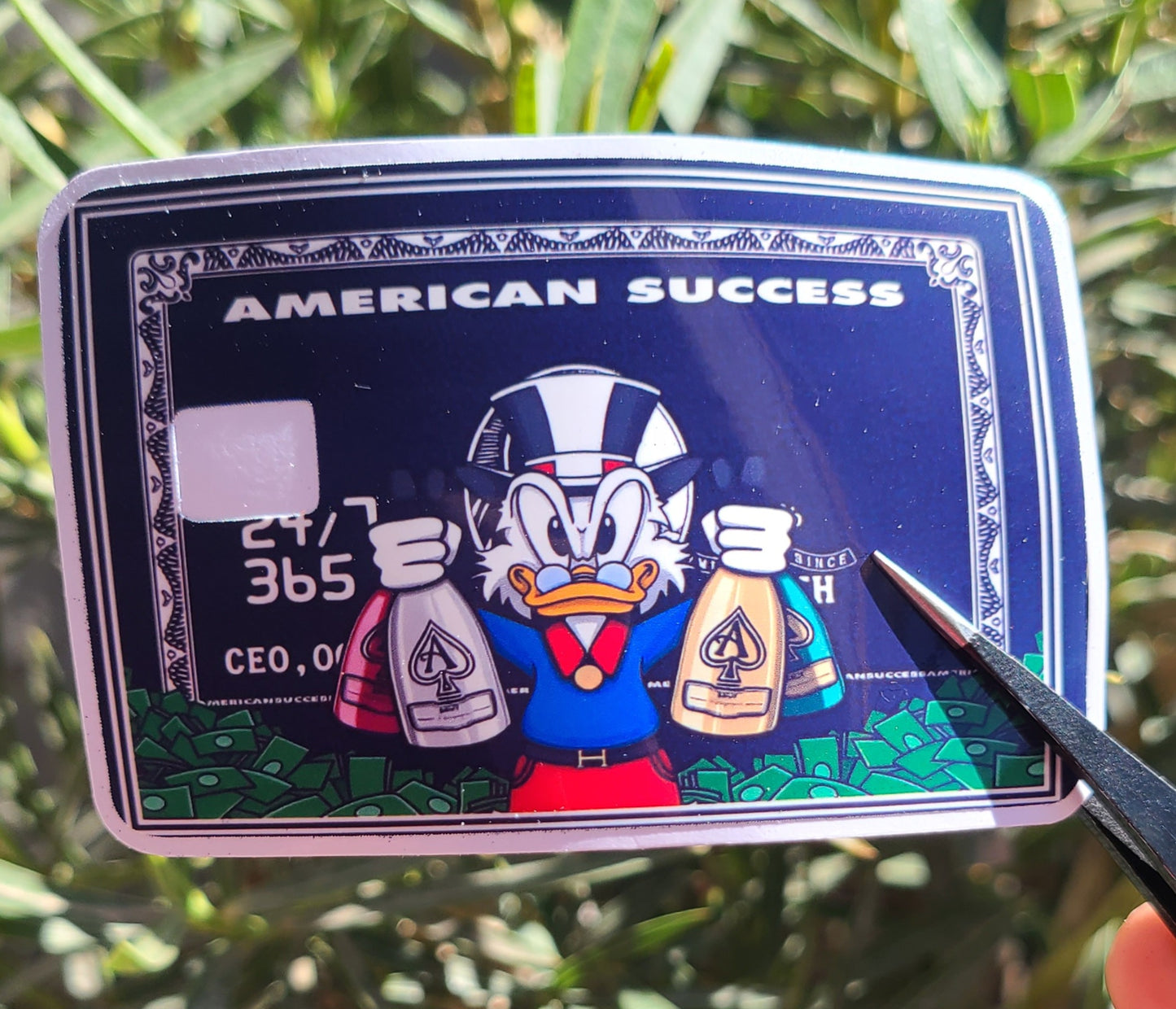 Donald Duck Money Card Skins