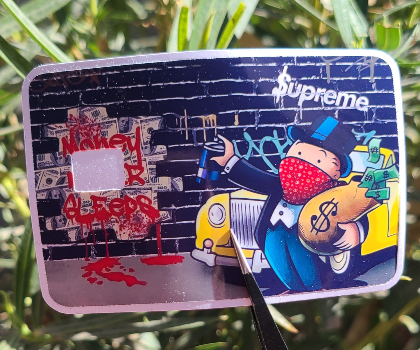Donald Duck Money Card Skins