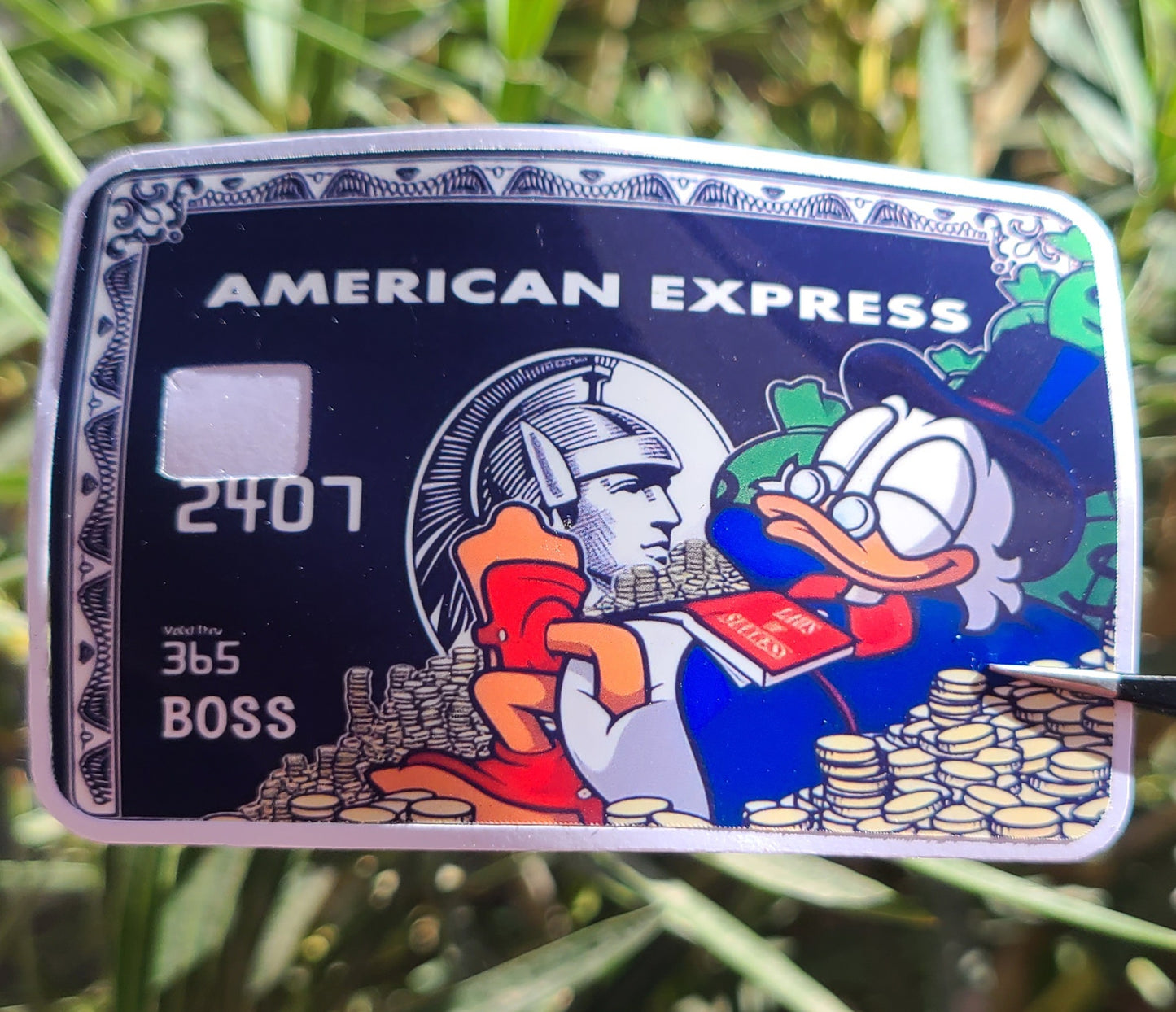 Donald Duck Money Card Skins