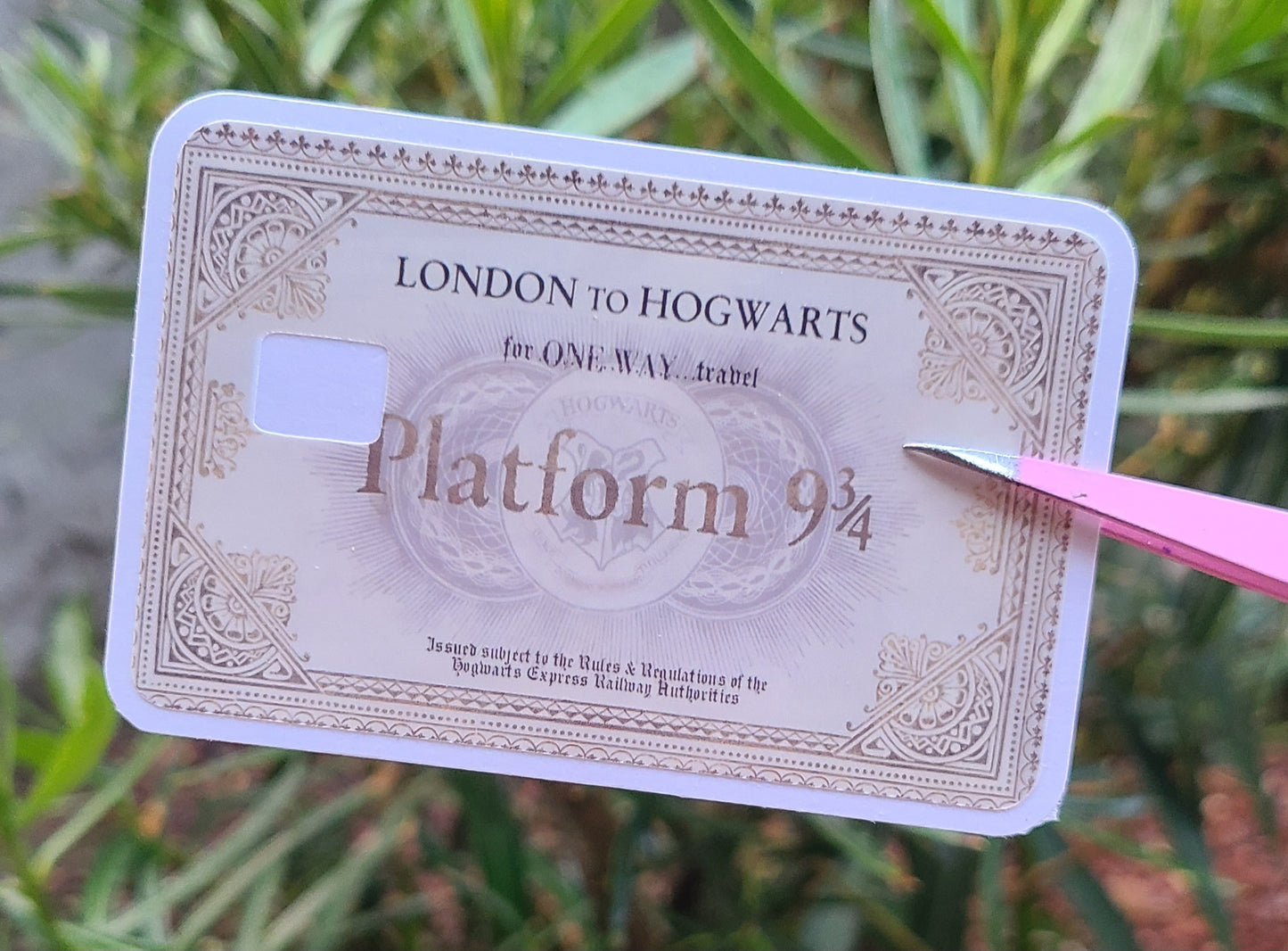 Harry Potter Card Skins