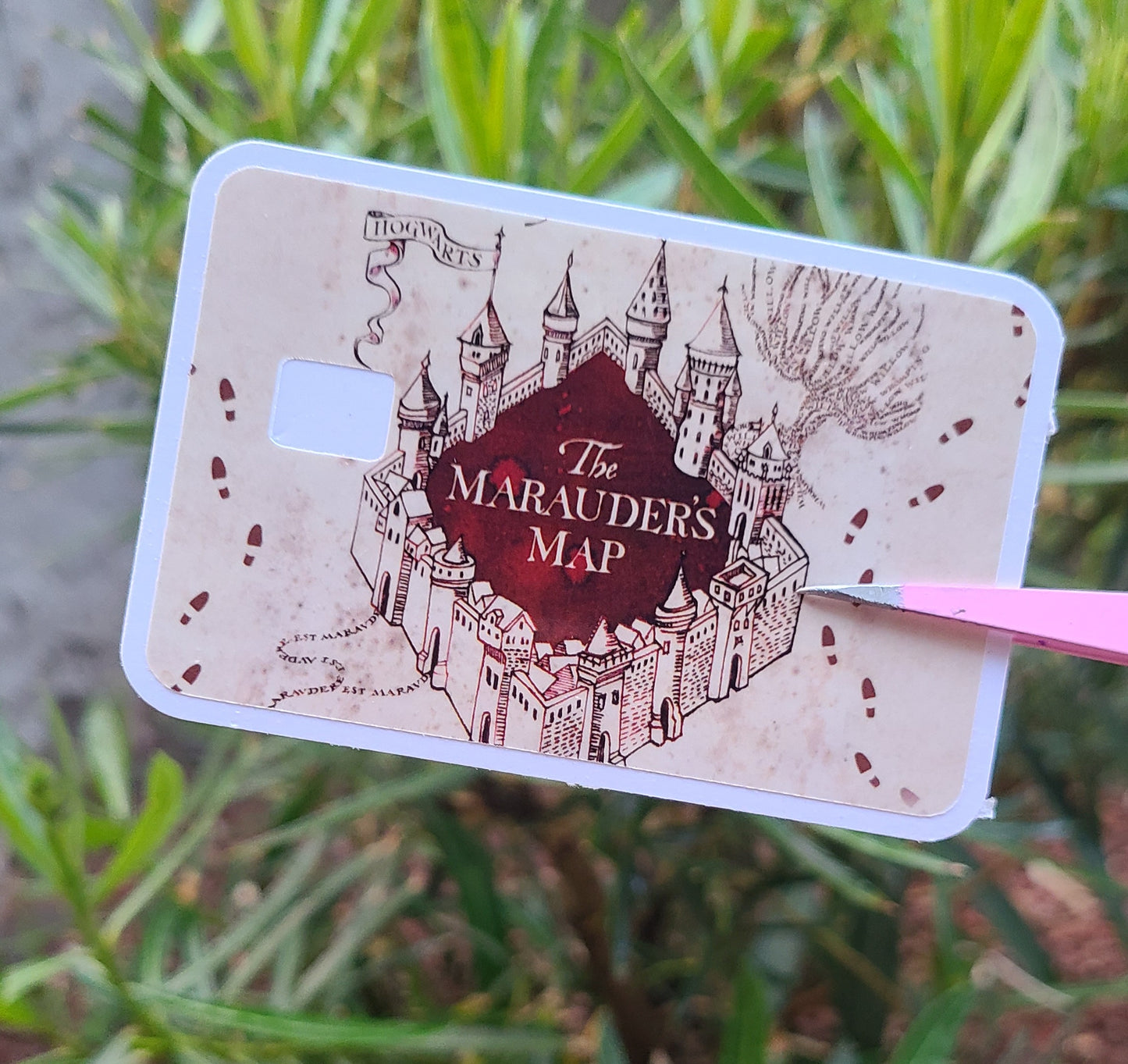 Harry Potter Card Skins