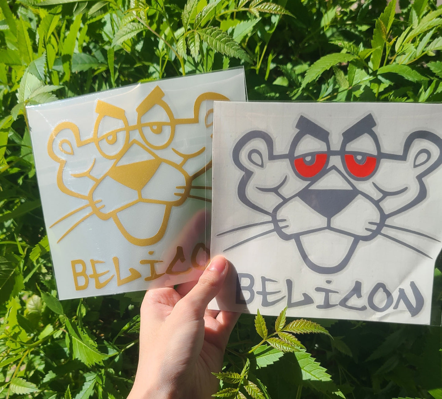 Pantera Belica Decal