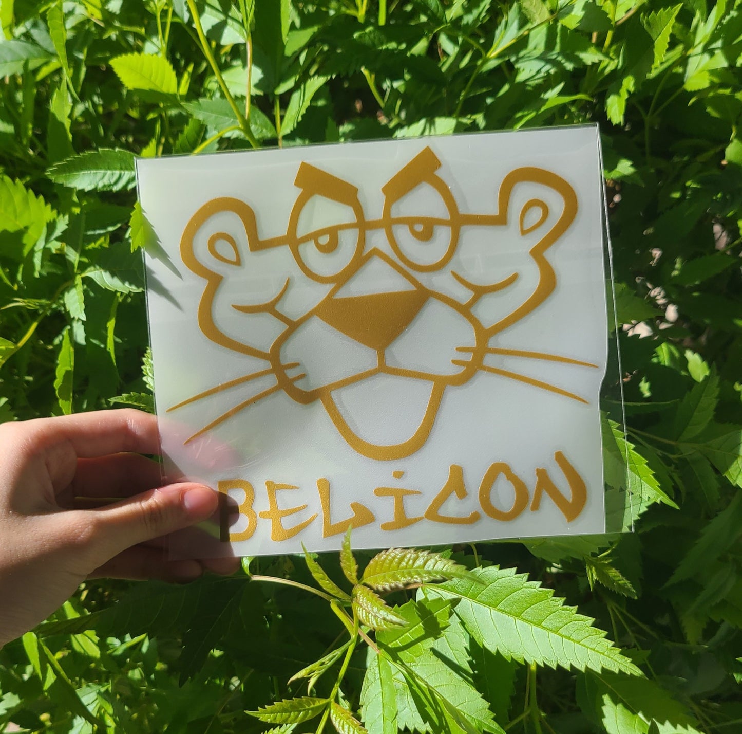 Pantera Belica Decal