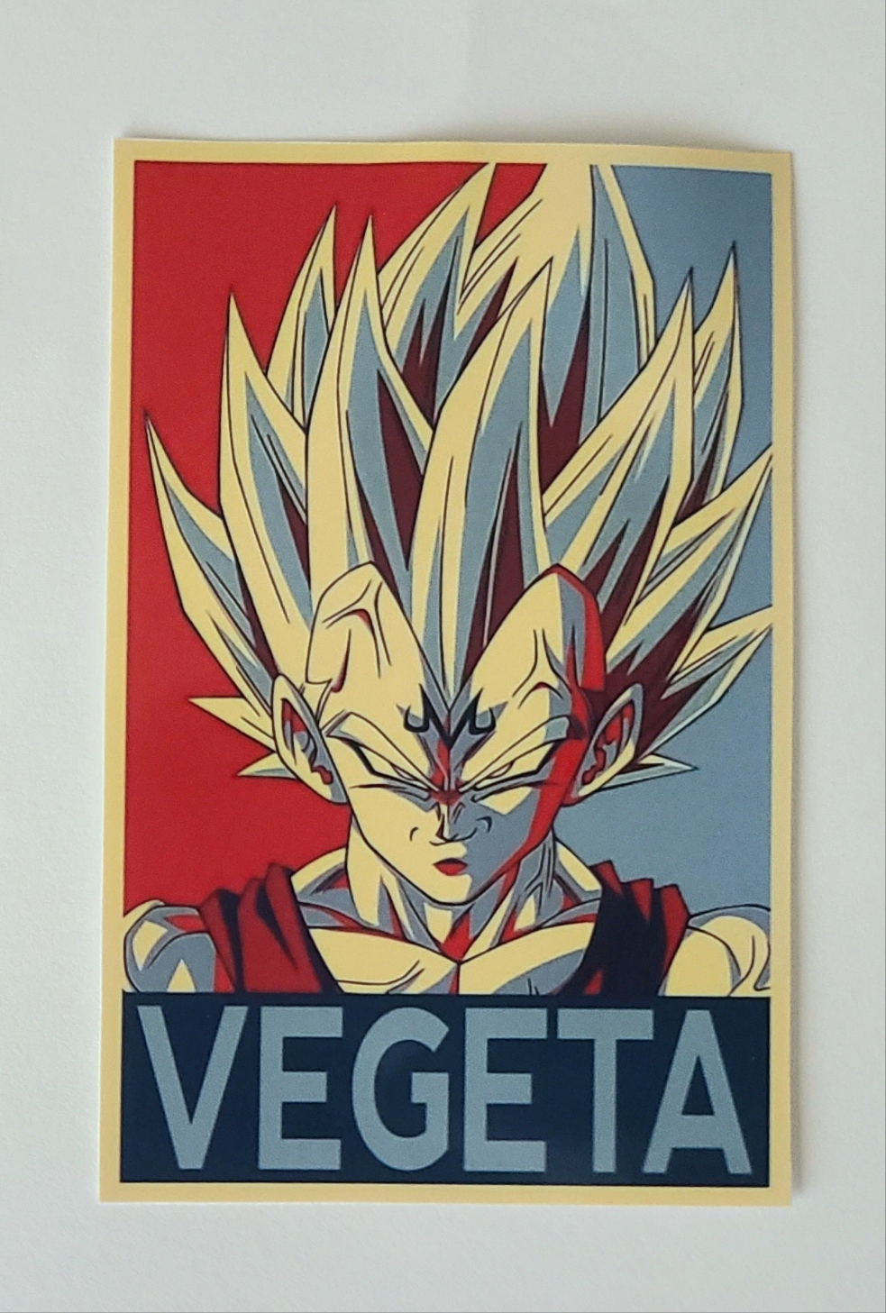 Goku and Vegeta