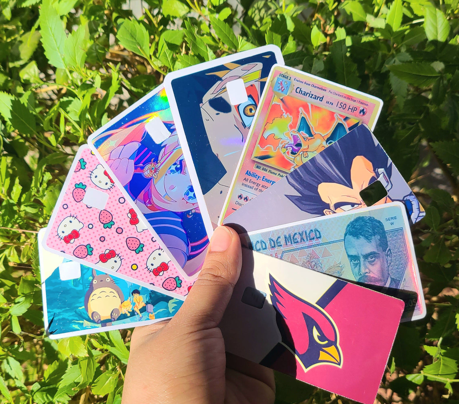 Card Skins