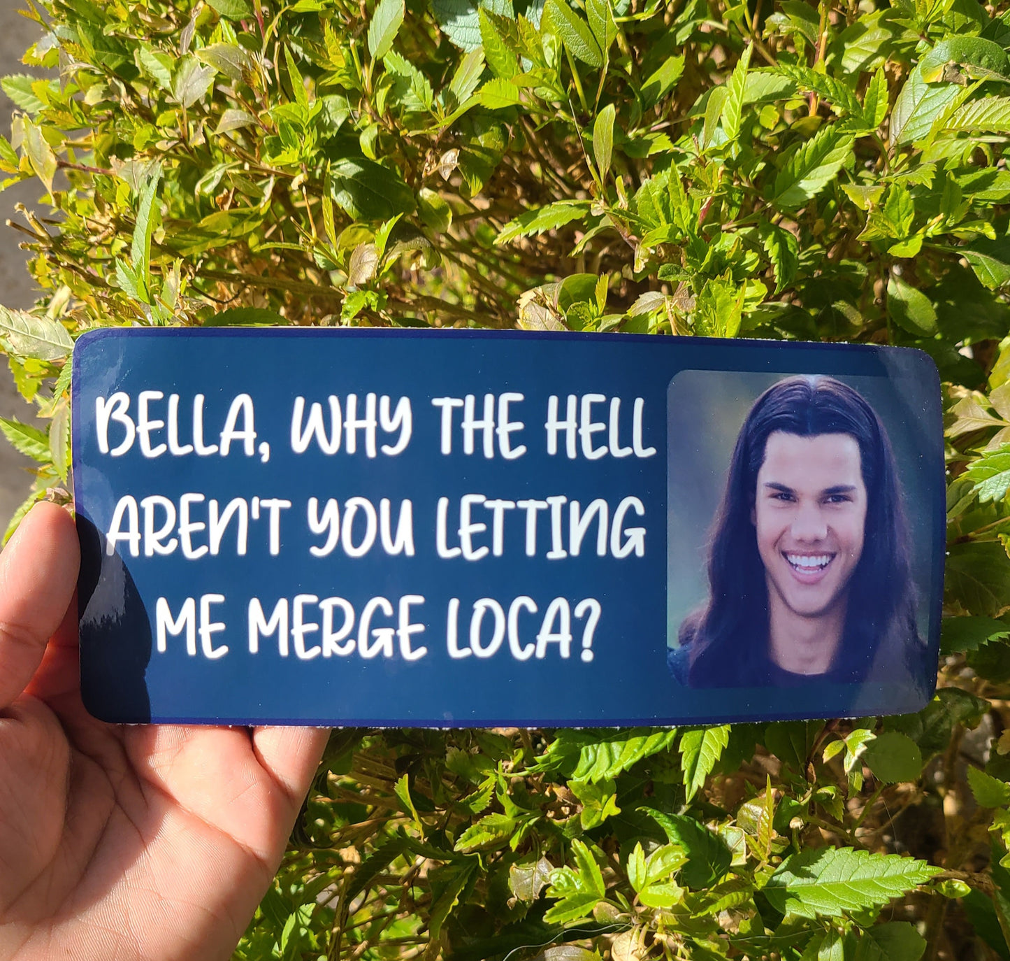 Twilight Bumper Stickers