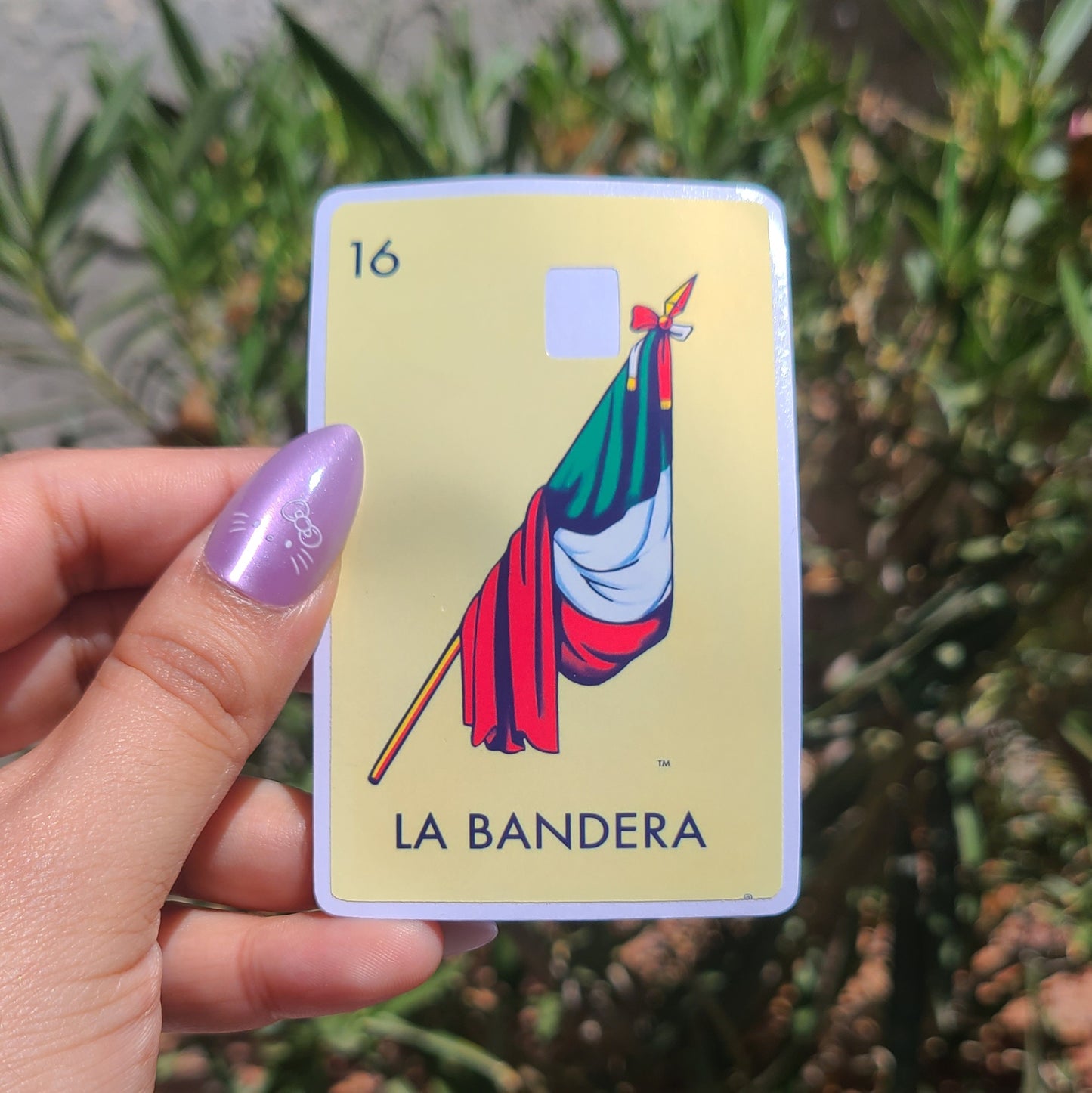 Loteria Card Skins