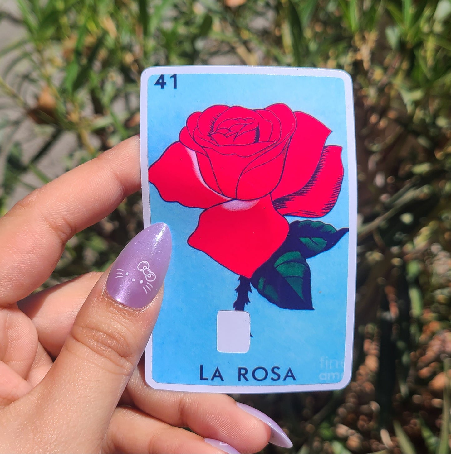 Loteria Card Skins
