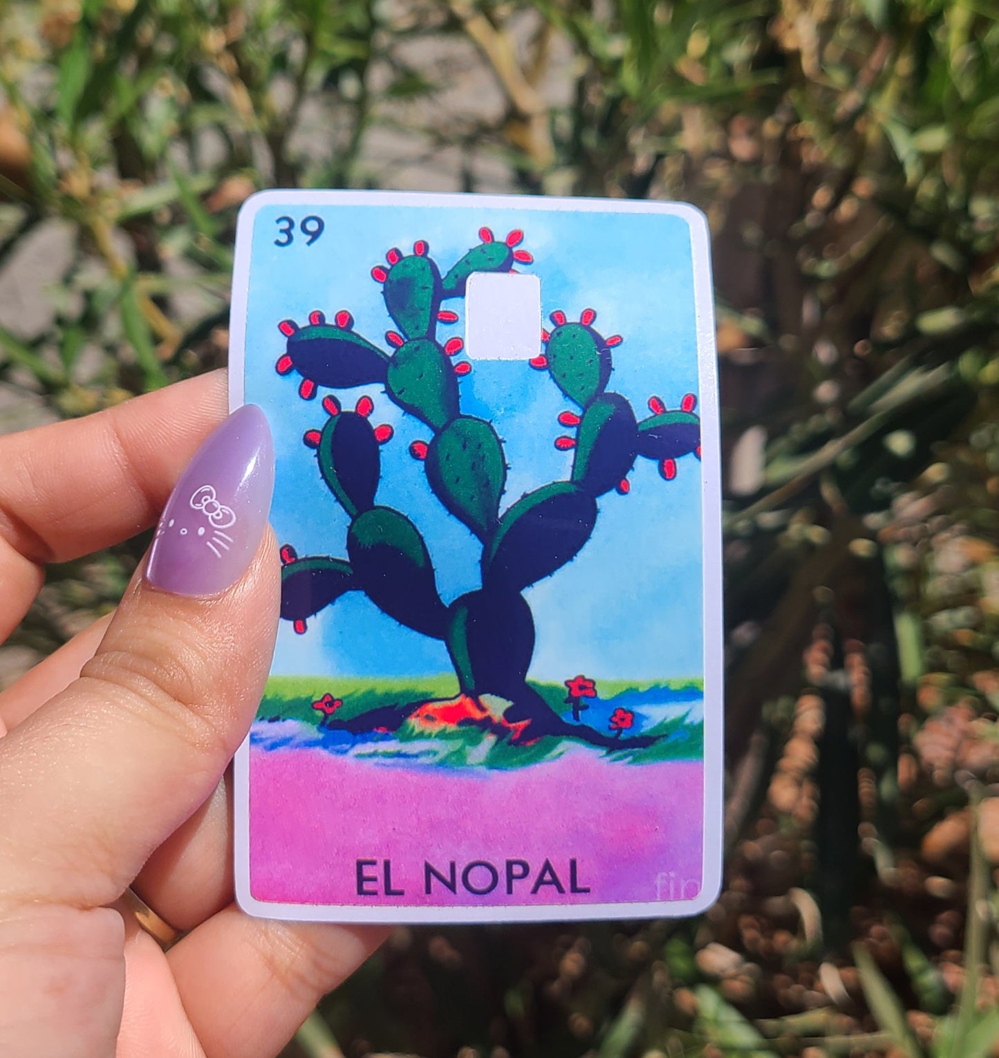 Loteria Card Skins