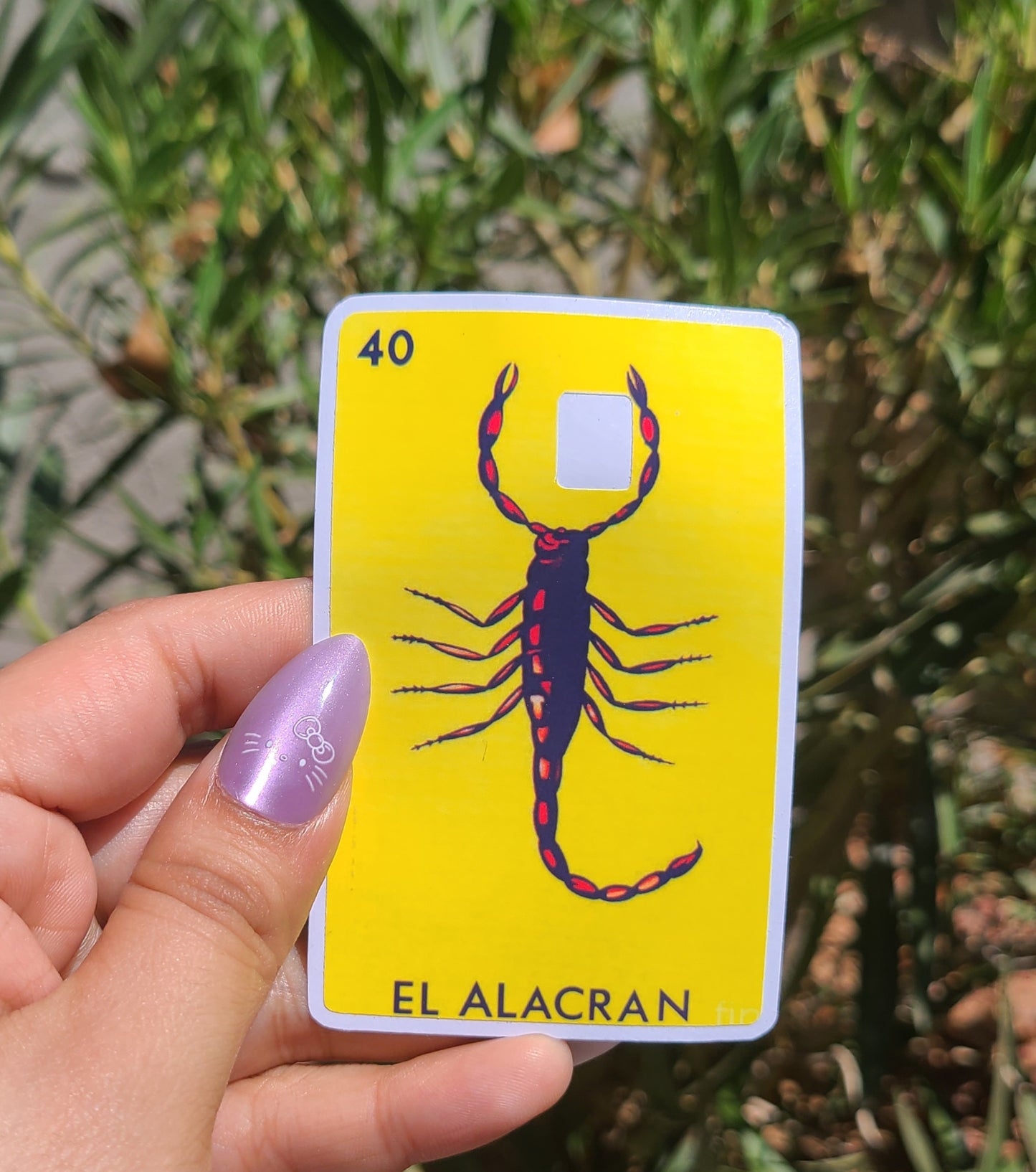 Loteria Card Skins