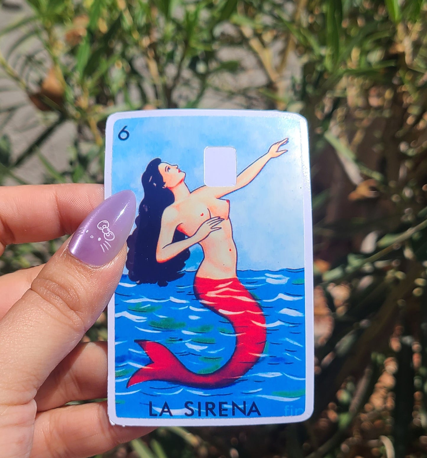 Loteria Card Skins