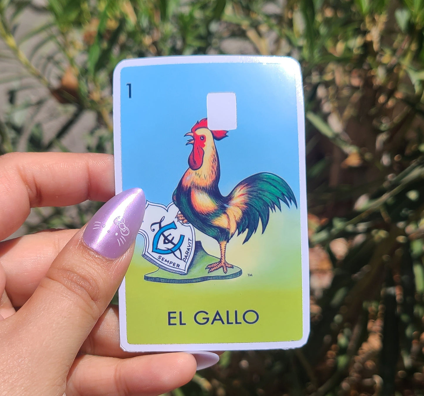 Loteria Card Skins
