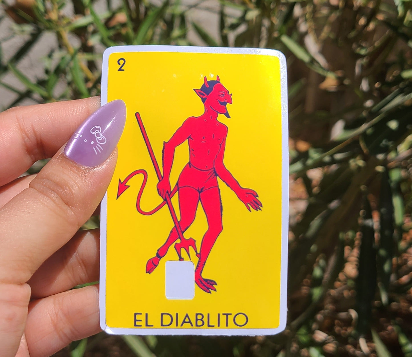 Loteria Card Skins