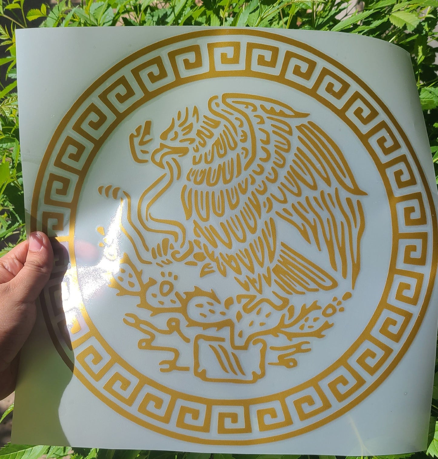 Aguila Mexicana Decal