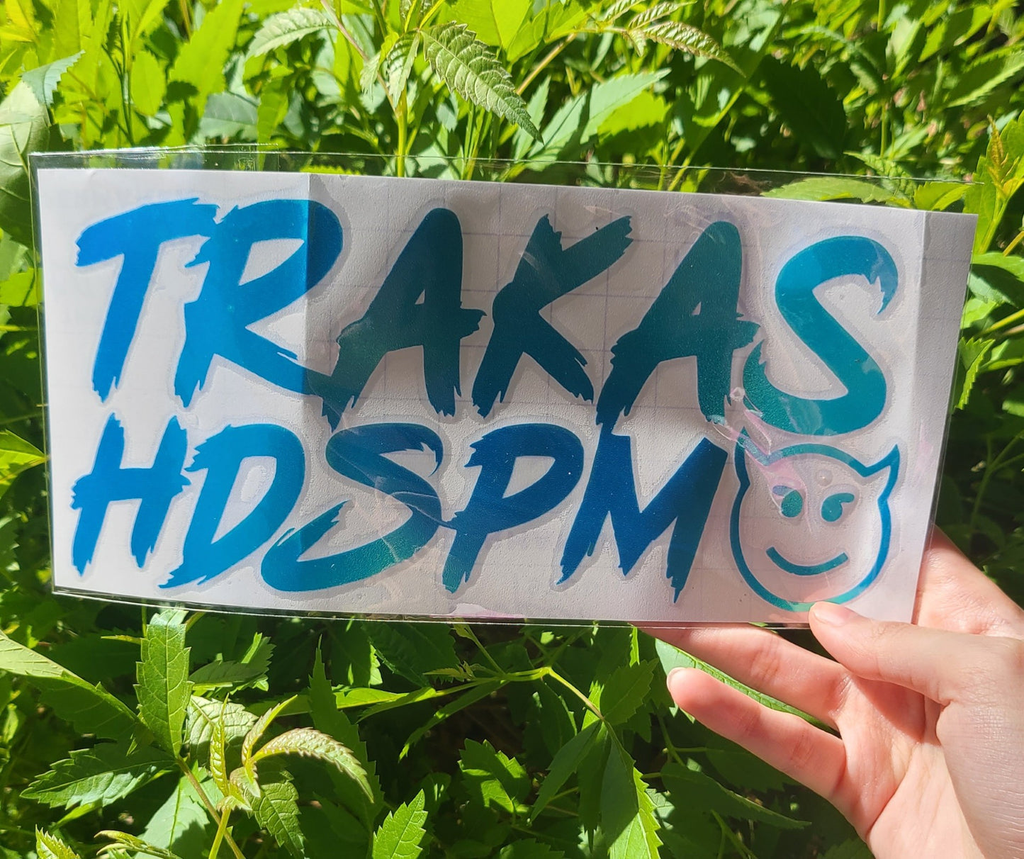 Trakas HDSPM