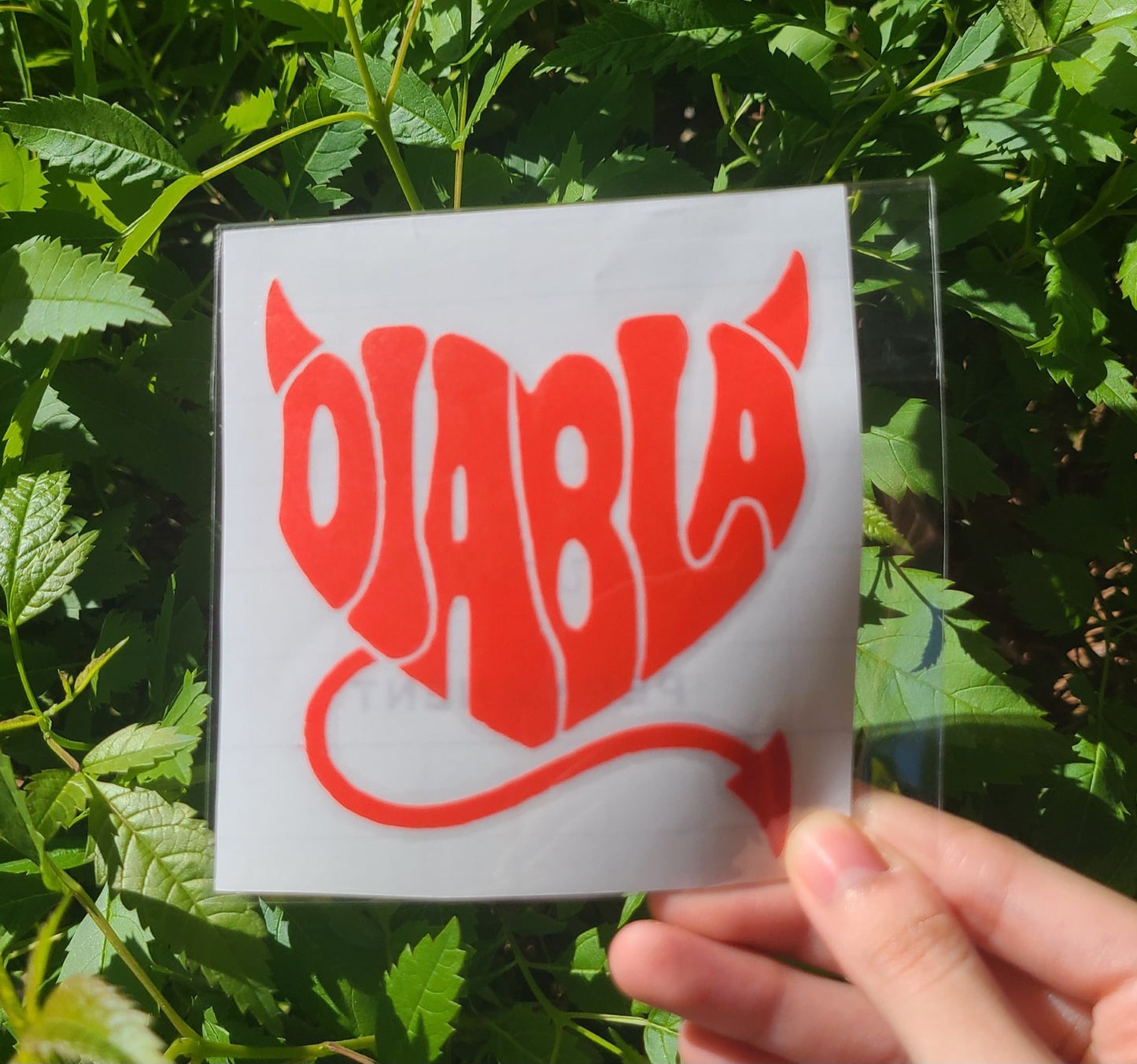 La Diabla Decals