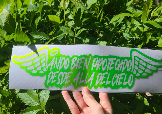 Ando Bien Protegido Decal