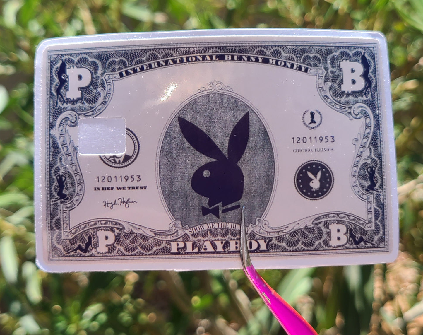 Playboy Money Card Skins