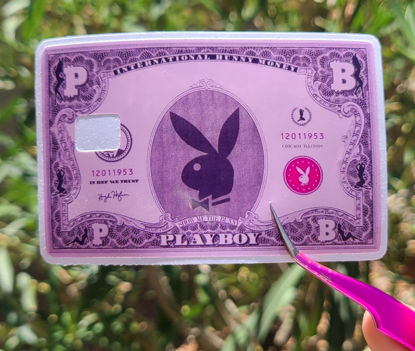 Playboy Money Card Skins